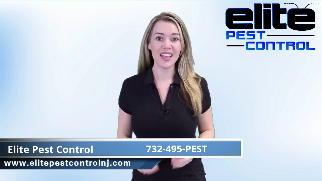 Elite Pest Control