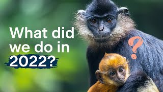 What did we do in 2022? - Fauna \u0026 Flora Impact Report