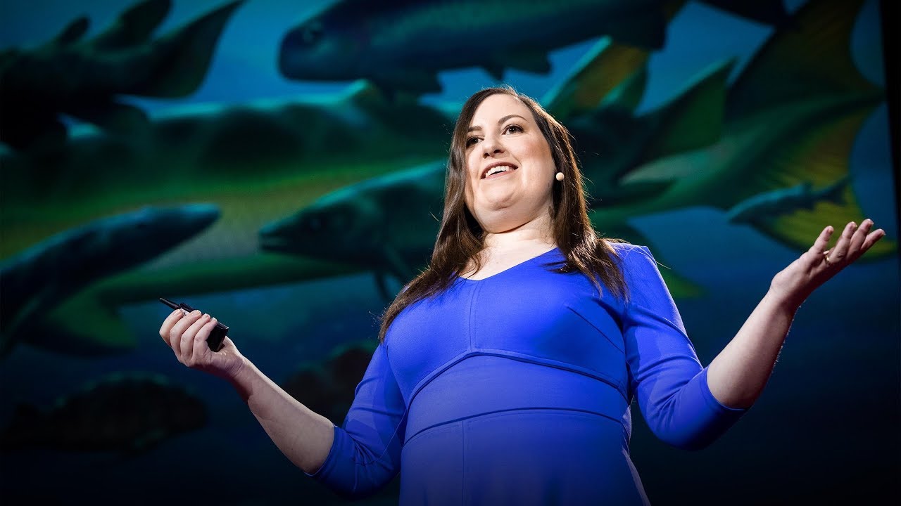 How to win at evolution and survive a mass extinction | Lauren Sallan