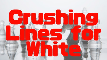 Mastering the Opening Series – Crushing Lines for White – GM Dzindzi – Exclusive Preview – ChessDVDs