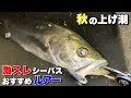 【河川の上げ潮】スレたシーバスにおすすめルアー！