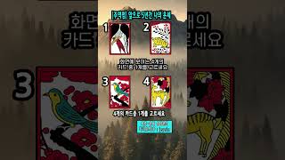 앞으로 5년간 나의 운세 #shorts #운세 #타로 #주역점 #제네럴리딩