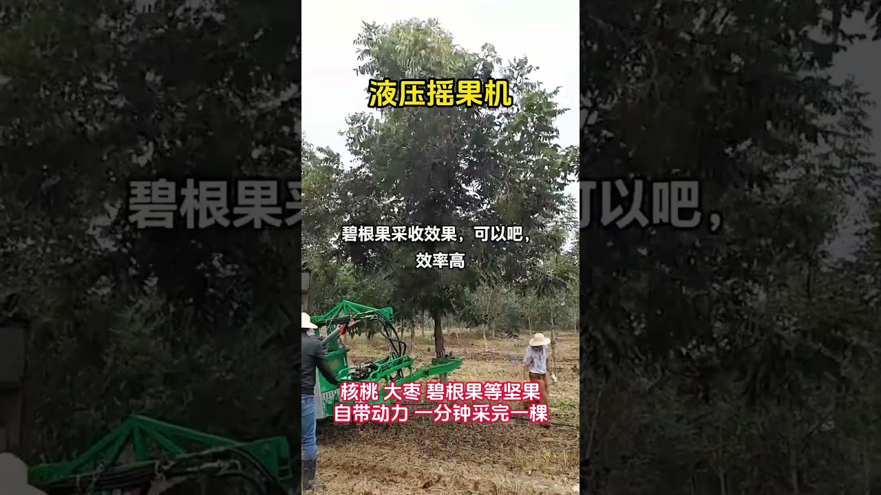 Small self propelled crawler fruit shaker for dried fruit trees