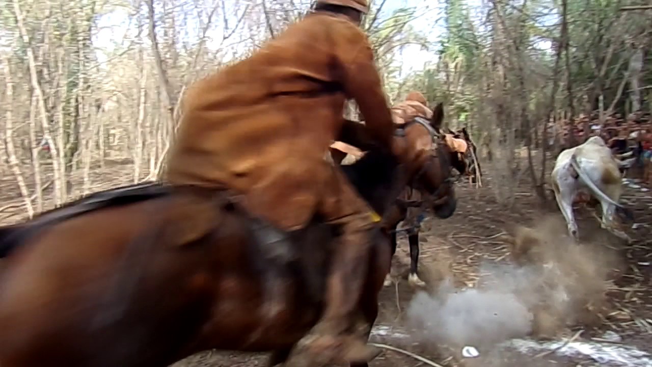 2ª VAQUEJADA BOI NO MATO NA FAZENDA ARAIOZES - BATALHA PI - 2016