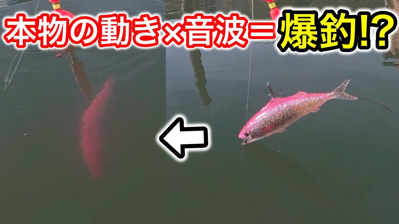 【バス釣り】水に入れるだけで本物の動き？スマートベイトは釣れるのか