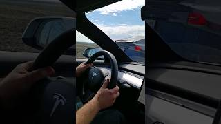 TESLA MODEL 3 Performance vs TESLA MODEL X Long Range ГОНКА #tesla #teslamodel3 #teslamodelx #гонки