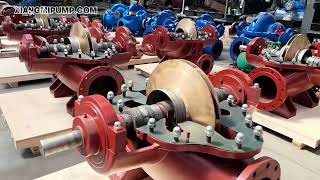 China Leading Horizontal Split Case Pump Manufacturer 