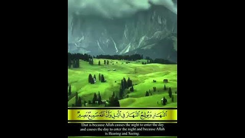 مقتطفات من سورة الحج الشيخ ماهر المعيقلي حالات آسلامية❤