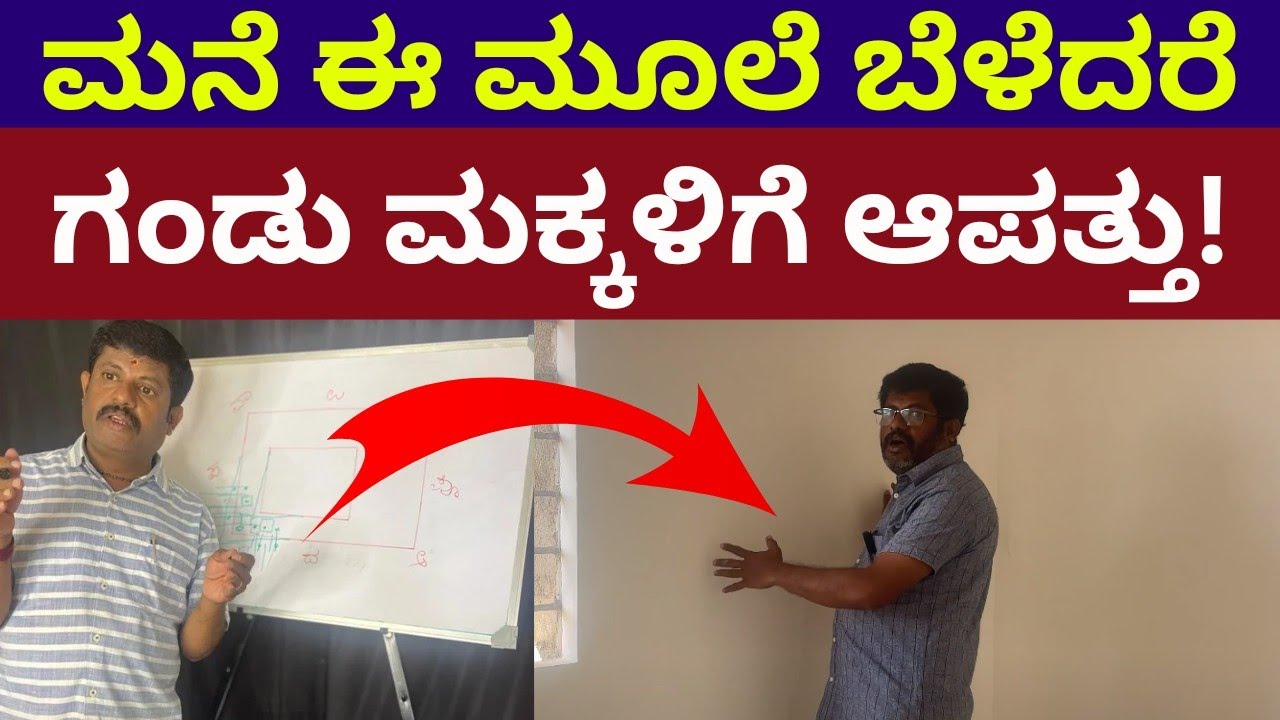 ಈ ಮೂಲೆ ಬೆಳದರೆ ಗಂಡು ಮಕ್ಕಳಿಗೆ ಡೇಂಜರ್ | Southwest | Daivaradhane Vastu