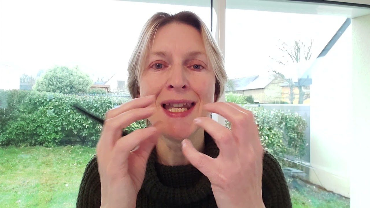 Linguistique anglaise (S. Oriez) : les 