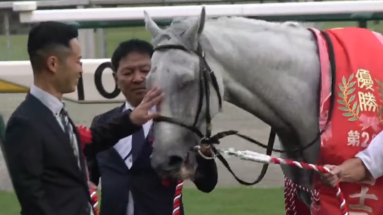 富士ステークス　1着ガイアフォース号（横山武史騎手）2025年10月18日（土）東京競馬場