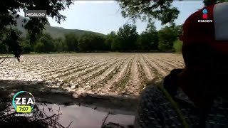 "Grace" deja bajo el agua tierras de cultivo en Metztitlán, Hidalgo | Noticias con Francisco Zea