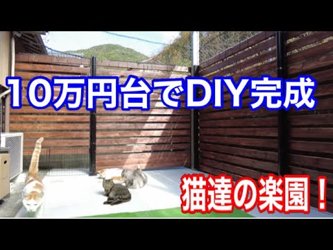 Finally completed DIY cat run! Surrounded the dirt floor with