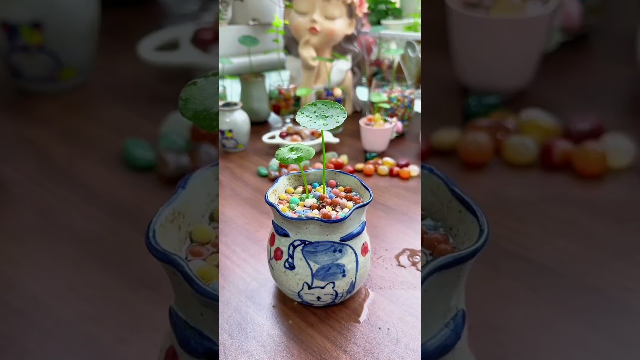 How to growing grass flowers in cup color so beautiful #plants #garden #flowers #2025