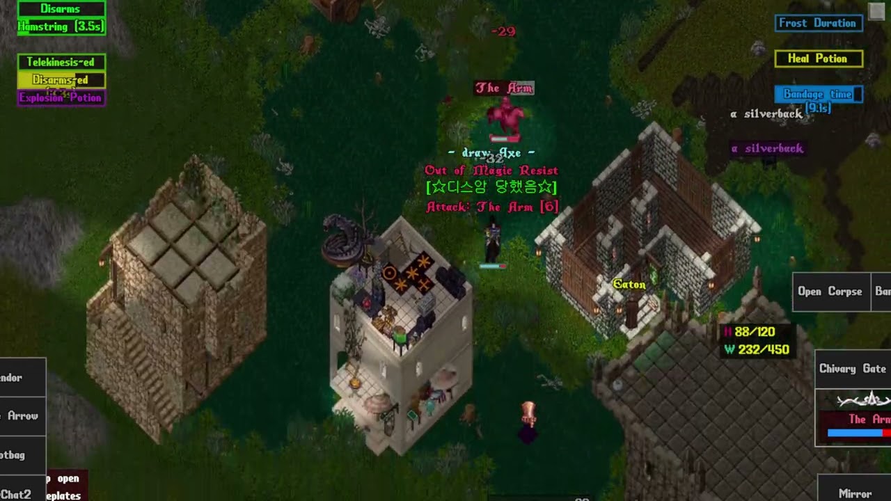 Uo Outlands PVP The Arm / Dexxer vs Dexxer is so boring and tedious. My wasted time lol