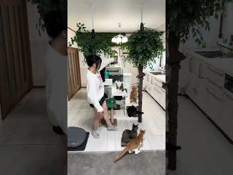 歌いながらもっと上手に踊れる練習中。