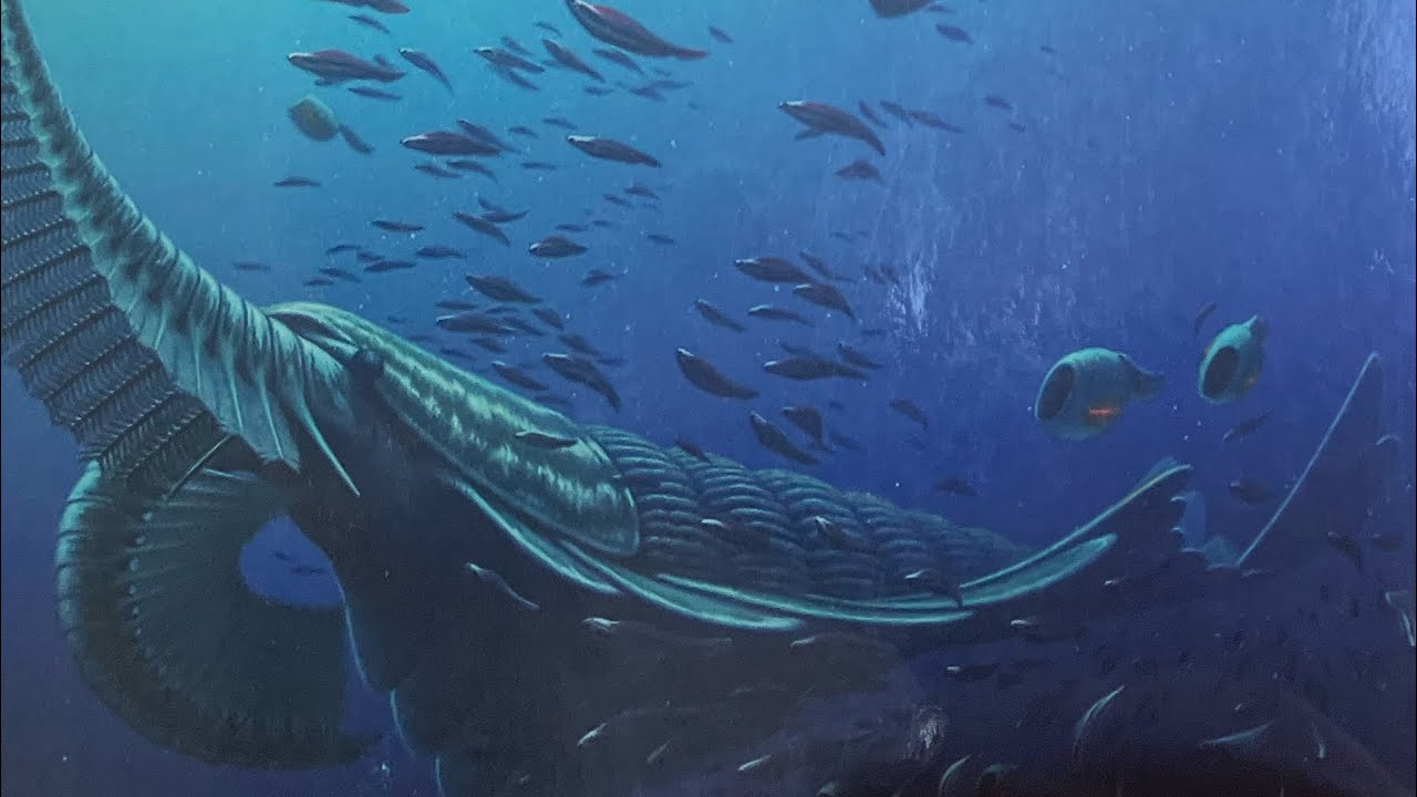 Paleogeography & Paleoclimates