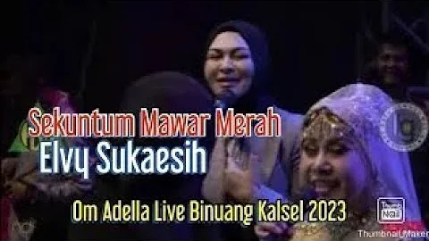 Sekuntum Mawar Merah - Elvy Sukaesih - Om Adella Live Binuang Kalsel 2023