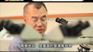 電視節目 TV1064 同行抗癌路 精華版