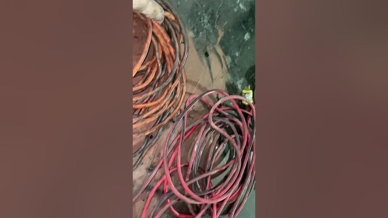 Standard Operating Procedures extension cord roll up YouTube