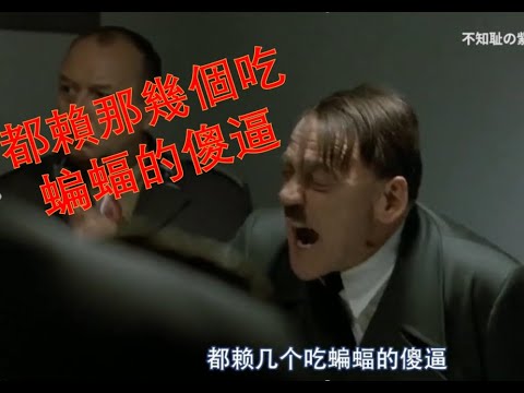 疫情爆發希特勒的憤怒（趣味配音）