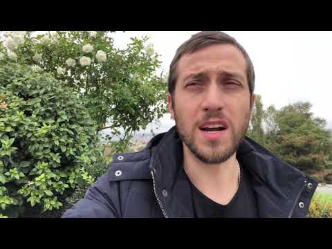 რა არის სტარტაპი