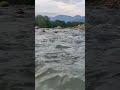 river water #nature #rivers #river #riverwatersounds #trending #trendingshorts #trend #forest