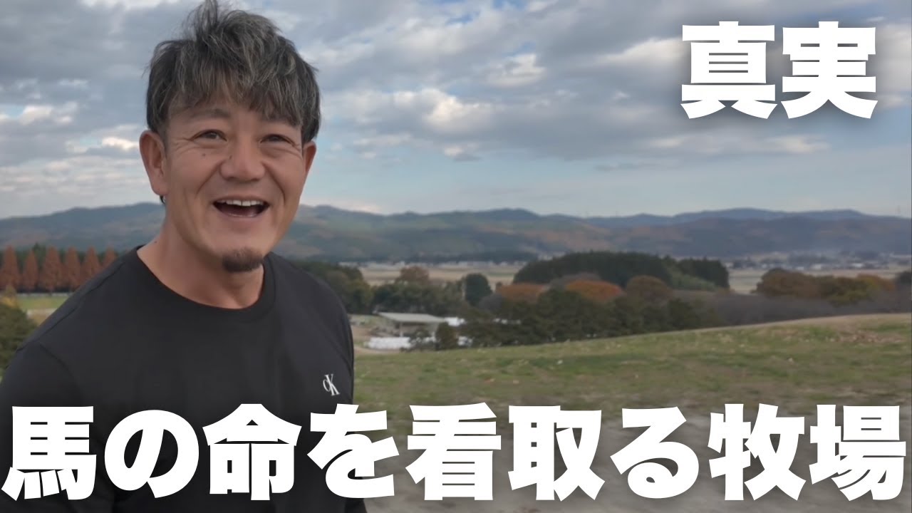 馬の命を看取る牧場のリアル