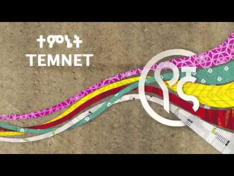 Best New Ethiopian music 2014 Yegna Temnet