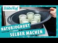 Wie macht man Joghurt selber? 🤔 | Die WICHTIGSTEN Tipps für den Thermomix® 🤩