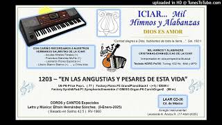 1203 - EN LAS ANGUSTIAS Y PESARES DE ESTA VIDA