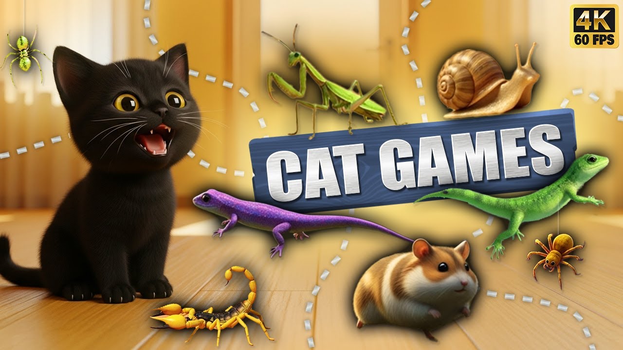 Ultimate CAT GAMES Compilation | 3D Game For Cats To Watch | Happy Cat ...