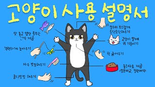 How To Treat Cats (ENG SUB)