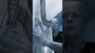 Misty Mountains Cold harp cover #harpcover #lordoftherings #mistymountains #hobbit #harpist