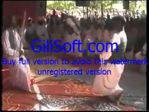 ﺭﺍﺑﻄﺔ ﻗﺮﻳﺔ ﺍﻟﻤﺎﺭﻳﺎ 