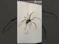 Spider Sketch Reveal 🕷️ | Art Timelapse