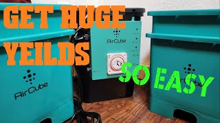 How To Grow HUGE plants w/ Air Cube Active Oxygen Grow System! | Ebb and Flow Made Easy! |