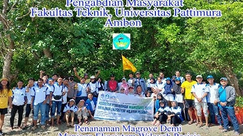 Penanaman Magrove Demi Menjaga Ekosistem Wilayah Pesisir (Pengabdian Masyarakat)