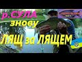 #СУЛА #Жор ЛЯЩА продовжуєтся #РибачуЯкУмію