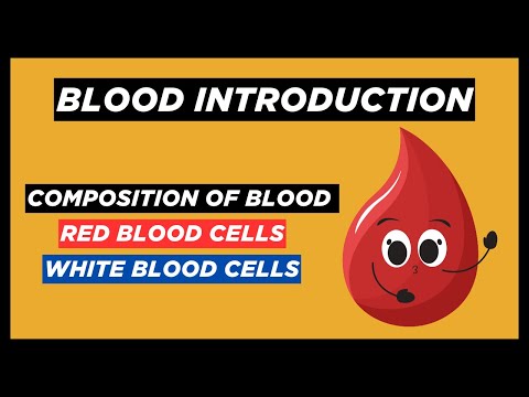 Components Of Blood Meaning In Urdu