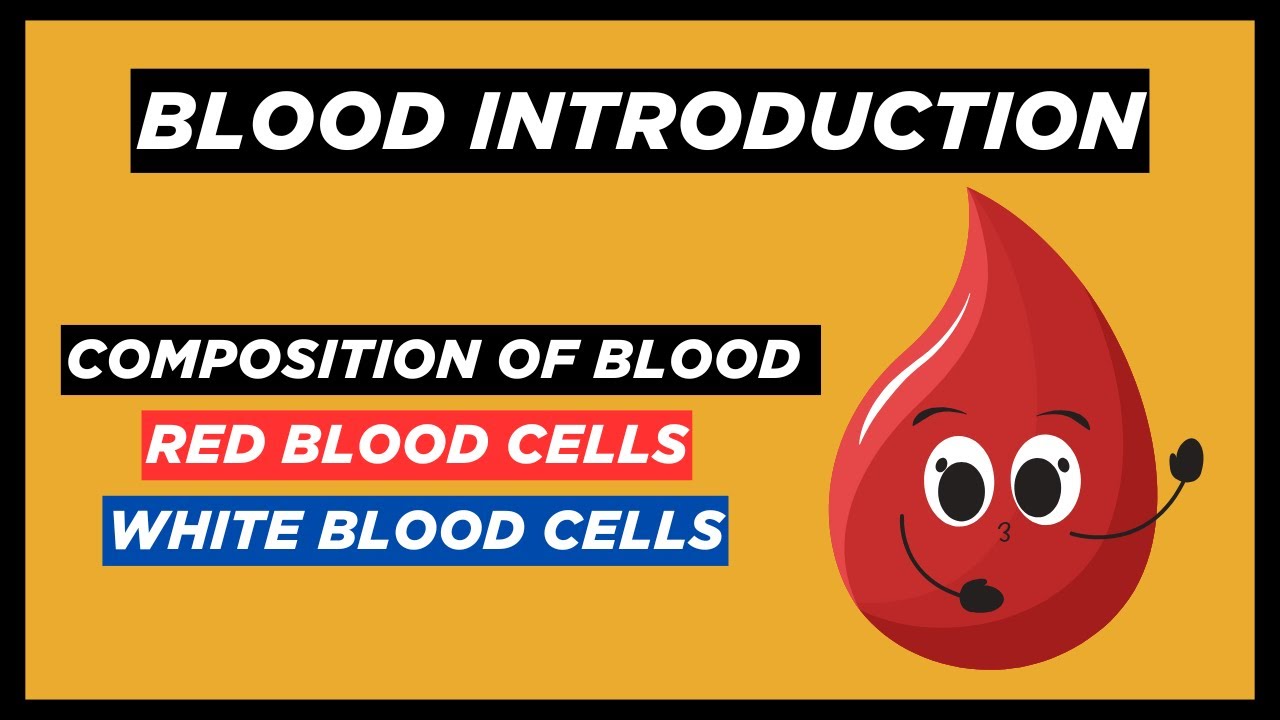 Blood Introduction | What is the Composition of Blood | Urdu - Hindi
