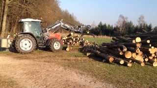 Abgekipptes Holz aufstapeln