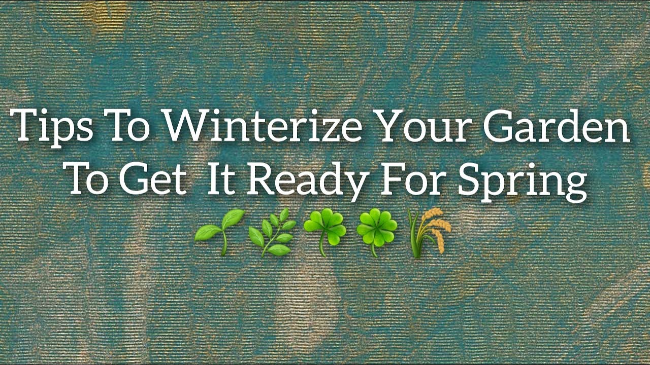 *NEW* How To Winterize Your Garden//Get Your Garden Ready For Next Year ...