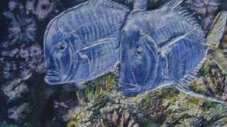 Le fond des mers, un univers étincelant_0001