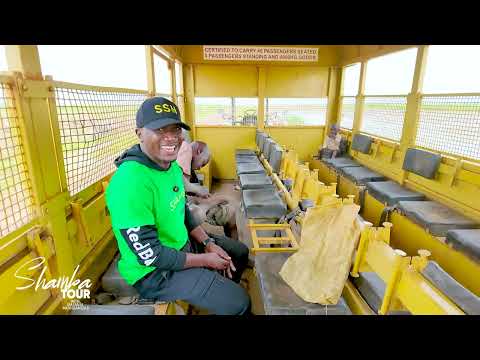 MASANJA KILIMO HUKU HADI GARI V8 ZINABEBA MPUNGA