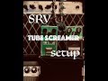 STEVIE RAY VAUGHAN ~ TUBE SCREAMER SETTINGS ~ SRV SETUP SECRETS???