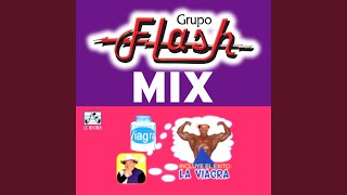 Download Lagu Cuco el Perruco Download Lagu Cuco el Perruco
