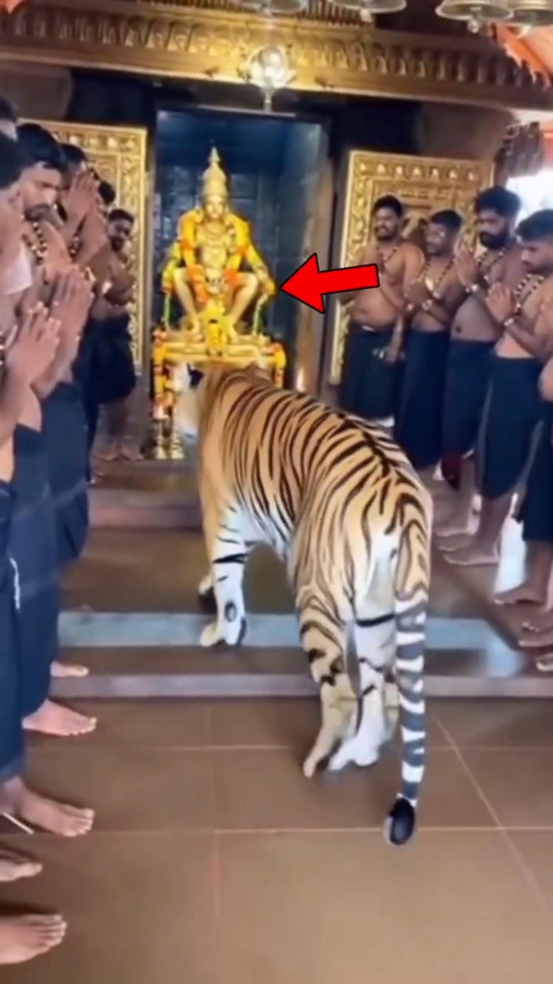 📑முக்கியமான வாட்ஸ்அப் தகவல் - ShareChat