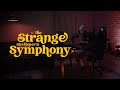 The strange developers symphony  com junior carelli  invillia toque sua carreira como dev