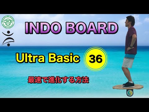 INDO BOARD SUP & Surf Training - YouTube